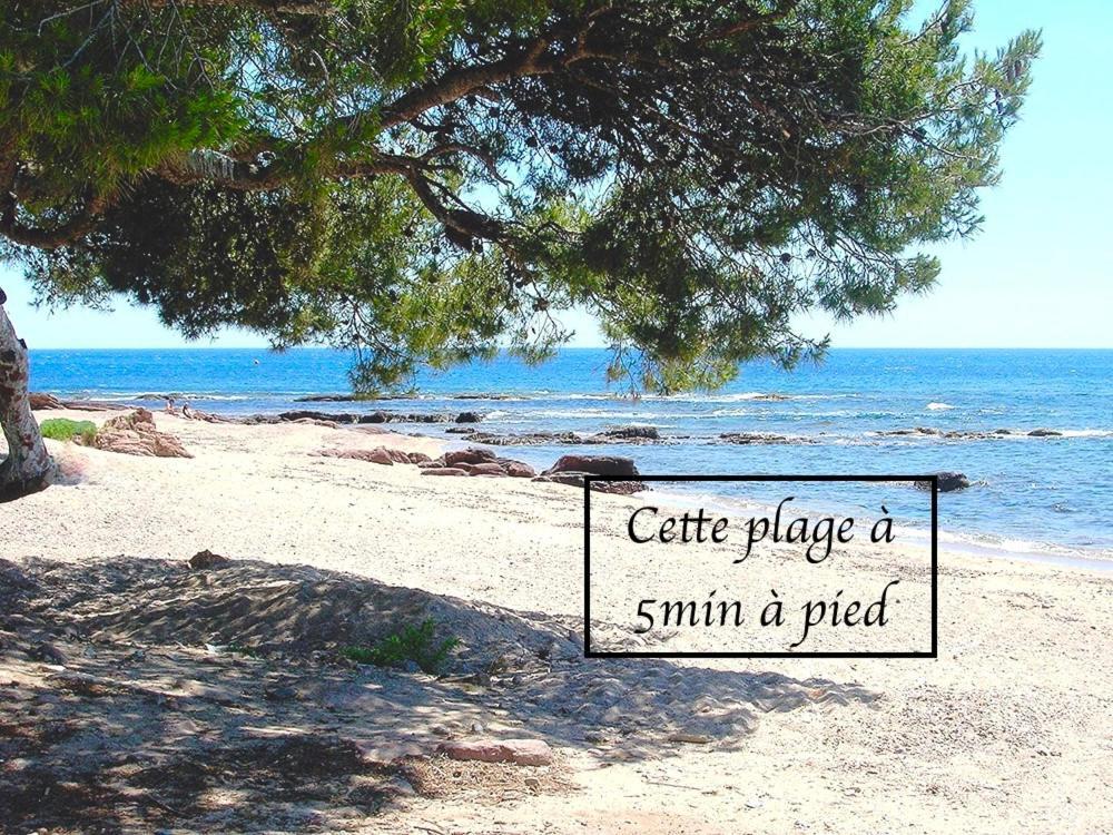 Appartement Plage Et Nature Saint-Raphaël Eksteriør billede